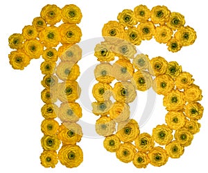 Arabic numeral 16, sixteen, from yellow flowers of buttercup, i