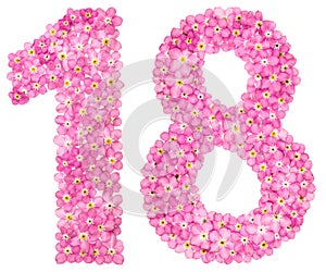 Arabic numeral 18, eighteen, from pink forget-me-not flowers, is