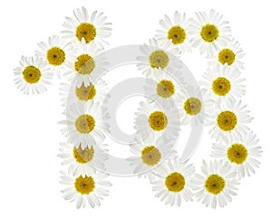 Arabic numeral 18, eighteen, from white flowers of chamomile, is