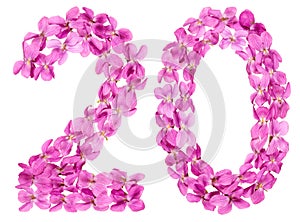 Arabic numeral 20, twenty, from flowers of viola, isolated on wh