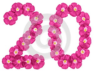 Arabic numeral 20, twenty, two, from pink flowers of flax, isolated on white background