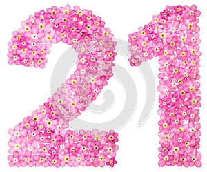 Arabic numeral 21, twenty one, from pink forget-me-not flowers,