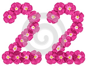 Arabic numeral 22, twenty two, from pink flowers of flax, isolated on white background