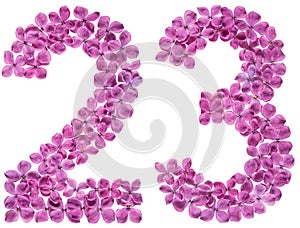 Arabic numeral 23, twenty three, from flowers of lilac, isolated