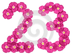 Arabic numeral 23, twenty three, from pink flowers of flax, isolated on white background