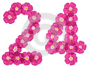 Arabic numeral 24, twenty four, from pink flowers of flax, isolated on white background