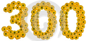 Arabic numeral 300, three hundred, from yellow flowers of butter