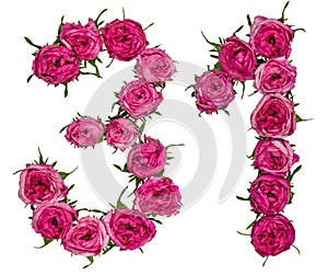 Arabic numeral 31, thirty one, from red flowers of rose, isolate