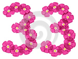 Arabic numeral 33, thirty three, from pink flowers of flax, isolated on white background