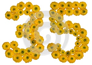 Arabic numeral 35, thirty five, from yellow flowers of buttercup