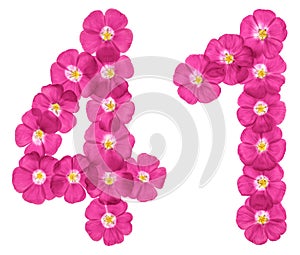 Arabic numeral 41, forty one, from pink flowers of flax, isolated on white background