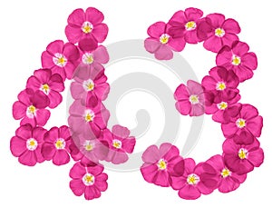 Arabic numeral 43, forty three, from pink flowers of flax, isolated on white background