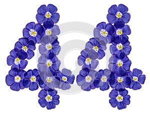 Arabic numeral 44, forty four, from blue flowers of flax, isolated on white background