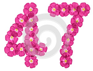 Arabic numeral 47, forty seven, from pink flowers of flax, isolated on white background