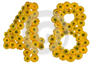 Arabic numeral 48, forty eight, from yellow flowers of buttercup