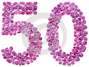 Arabic numeral 50, fifty, from flowers of lilac, isolated on whi