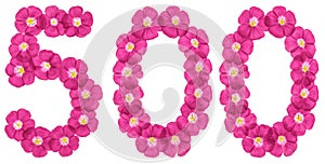 Arabic numeral 500, five hundred, from pink flowers of flax, isolated on white background