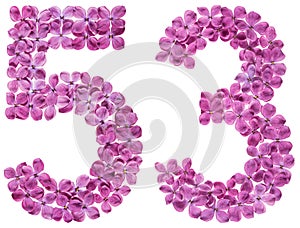Arabic numeral 53, fifty three, from flowers of lilac, isolated