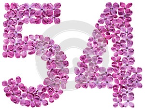 Arabic numeral 54, fifty four, from flowers of lilac, isolated o