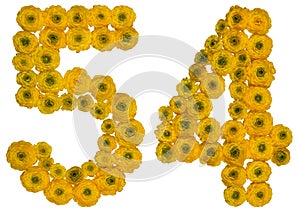 Arabic numeral 54, fifty four, from yellow flowers of buttercup, isolated on white background