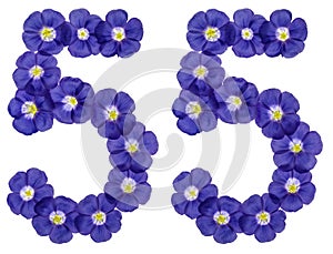 Arabic numeral 55, fifty five, from blue flowers of flax, isolated on white background