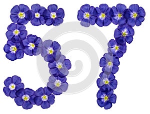 Arabic numeral 57, fifty seven, from blue flowers of flax, isolated on white background