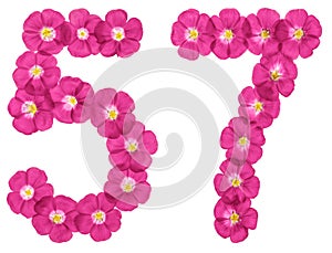 Arabic numeral 57, fifty seven, from pink flowers of flax, isolated on white background