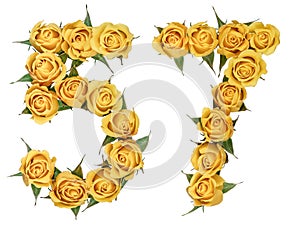 Arabic numeral 57, fifty seven, from yellow flowers of rose, iso