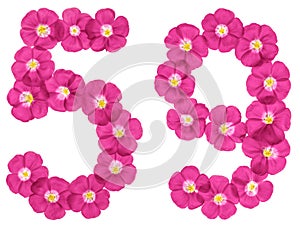 Arabic numeral 59, fifty nine, from pink flowers of flax, isolated on white background