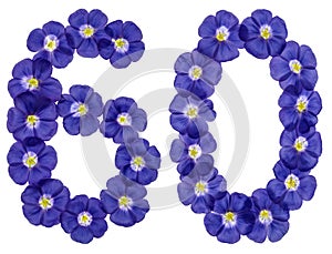 Arabic numeral 60, sixty, from blue flowers of flax, isolated on