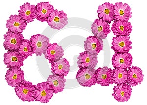 Arabic numeral 64, sixty four, from flowers of chrysanthemum, is