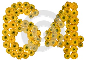 Arabic numeral 64, sixty four, from yellow flowers of buttercup, isolated on white background