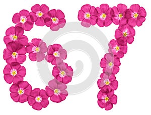 Arabic numeral 67, sixty seven, from pink flowers of flax, isolated on white background