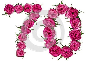 Arabic numeral 70, seventy, seven, from red flowers of rose, iso