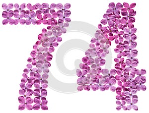 Arabic numeral 74, seventy four, from flowers of lilac, isolated