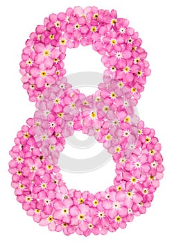 Arabic numeral 8, eight, from pink forget-me-not flowers, isolat