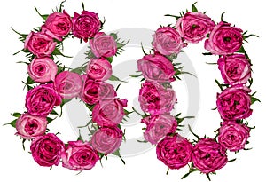 Arabic numeral 80, eighty, from red flowers of rose, isolated on