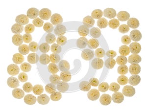 Arabic numeral 89, eighty nine, from cream flowers of chrysanthemum, isolated on white background