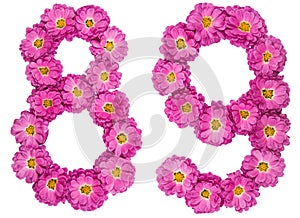 Arabic numeral 89, eighty nine, from flowers of chrysanthemum, i