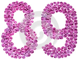 Arabic numeral 89, eighty nine, from flowers of lilac, isolated