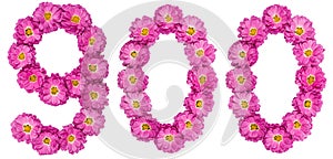 Arabic numeral 900, nine hundred, from flowers of chrysanthemum, isolated on white background