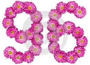 Arabic numeral 96, ninety six, from flowers of chrysanthemum, is