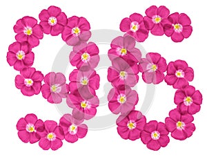 Arabic numeral 96, ninety six, from pink flowers of flax, isolated on white background