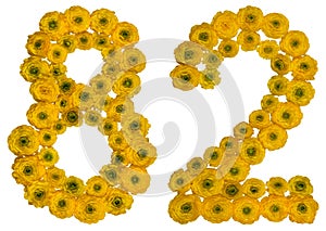 Arabic numeral 82, eighty two, from yellow flowers of buttercup, isolated on white background