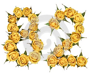 Arabic numeral 82, eighty two, from yellow flowers of rose, isolated on white background