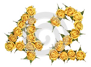 Arabic numeral 42, forty two, from yellow flowers of rose, isolated on white background