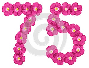 Arabic numeral 75, seventy five, from pink flowers of flax, isolated on white background