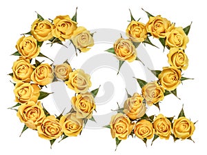 Arabic numeral 62, sixty two, from yellow flowers of rose, isolated on white background