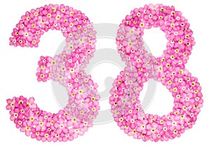 Arábica dígitos 38 treinta ocho rosa flores 