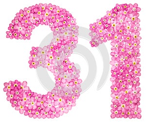 Arábica dígitos 31 treinta uno rosa flores 